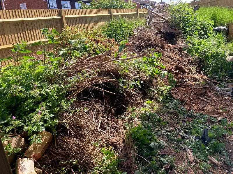 Garden Clearance Thanet